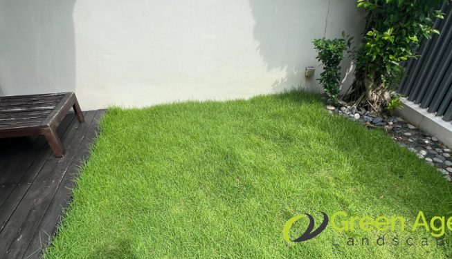 grass-cutting-greenage-landscaping-services-singapore-landed-katong-2