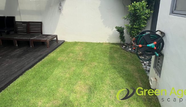 grass-cutting-greenage-landscaping-services-singapore-landed-katong-3