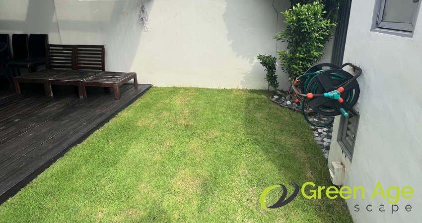 grass-cutting-greenage-landscaping-services-singapore-landed-katong-3