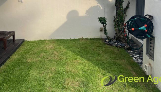 grass-cutting-greenage-landscaping-services-singapore-landed-katong-4