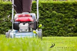 Grass Planting 69 grass-maintenance-how-to-select-the-right-grass-to-plant-for-your-garden-grass-planting-long-form-greenage-landscaping-services-singapore
