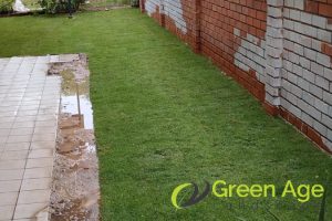 grass-planting-greenage-landscaping-services-singapore-landed-bukit-timah-2