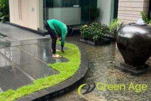 Grass Planting 86 grass-planting-greenage-landscaping-services-singapore-landed-bukit-timah