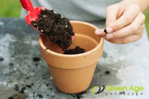 Why Should You Engage a Professional to Maintain Your Balcony Garden in Singapore 4 know-how-to-choose-the-right-soil-why-should-you-engage-a-professional-to-maintain-your-balcony-garden-in-singapore-balcony-garden-greenage-landscaping-services-singapore