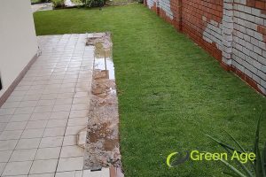 Grass Planting 64 lush-green-carpet-7-benefits-of-planting-grass-for-your-garden-grass-planting-long-forms-greenage-landscaping-services-singapore