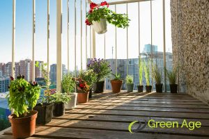 neglecting-proper-sunlight-7-common-mistakes-to-avoid-during-DIY-balcony-garden-maintenance-in-singapore-balcony-garden-greenage-landscaping-services-singapore