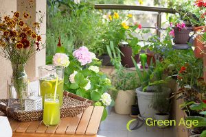The Importance of Proper Pruning for Balcony Gardens in Singapore 2 optimized-growth-the-importance-of-proper-pruning-for-balcony-gardens-in-singapore-balcony-garden-greenage-landscaping-services-singapore