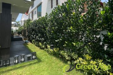 plant-pruning-services-greenage-landscaping-services-singapore-landed-hougang-1