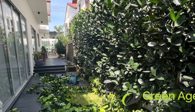 plant-pruning-services-greenage-landscaping-services-singapore-landed-hougang-3