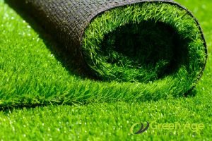 How Much Is The Cost of Professional Real Carpet Grass Installation in Singapore? 2 quality-of-carpet-grass-how-much-is-the-cost-of-professional-real-carpet-grass-installation-carpet-grass-greenage-landscaping-services-singapore