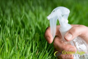 The Pros and Cons of Installing Artificial Carpet Grass in Singapore 4 requires-periodic-disinfection-the-pros-and-cons-of-installing-artificial-carpet-grass-in-singapore-carpet-grass-greenage-landscaping-services-singapore