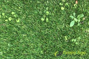 unwanted-growth-6-common-mistakes-to-avoid-when-diy-installing-artificial-carpet-grass-in-singapore