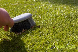 7 Essential Tips to Maintain Artificial Carpet Grass in Singapore 5 use-dry-strokes-for-cleaning-7-essential-tips-to-maintain-artificial-carpet-grass-in-singapore-carpet-grass-greenage-landscaping-services-singapore