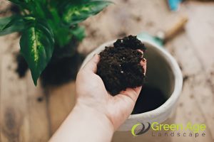 8 Effective Ways to Maintain a Balcony Garden During Rainy Season in Singapore 3 use-well-draining-soil-8-effective-ways-to-maintain-a-balcony-garden-during-rainy-season-in-singapore-balcony-garden-greenage-landscaping-services-singapore