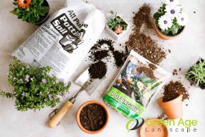using-garden-soil-instead-of-potting-mix-7-common-mistakes-to-avoid-during-DIY-balcony-garden-maintenance-in-singapore-balcony-garden-greenage-landscaping-services-singapore