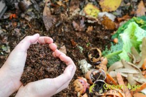 How To Make Balcony Garden Maintenance More Affordable in Singapore? 3 utilize-kitchen-scraps-to-create-natural-fertilizers-how-to-make-balcony-garden-maintenance-more-affordable-in-singapore-balcony-garden-greenage-landscaping-services-singapore