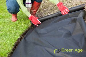 Grass Planting 76 weed-cover-5-common-diy-grass-planting-mistakes-to-avoid-grass-planting-long-form-greenage-landscaping-services-singapore