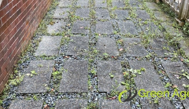 artificial-grass-greenage-landscaping-services-singapore-landed-newton-2
