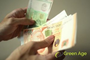 9 Benefits of Tree Trimming in Singapore 4 cost-effective-9-benefits-of-tree-trimming-gree-greenage-landscaping-services-singapore
