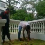 cut-and-plant-grass-turfing-installation-greenage-landscaping-singapore