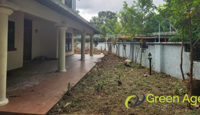 garden-maintenance-services-greenage-landscaping-services-singapore-landed-newton-10