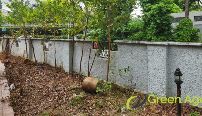 garden-maintenance-services-greenage-landscaping-services-singapore-landed-newton-12
