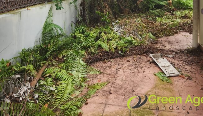 garden-maintenance-services-greenage-landscaping-services-singapore-landed-newton-13