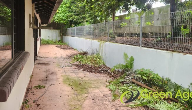 garden-maintenance-services-greenage-landscaping-services-singapore-landed-newton-14