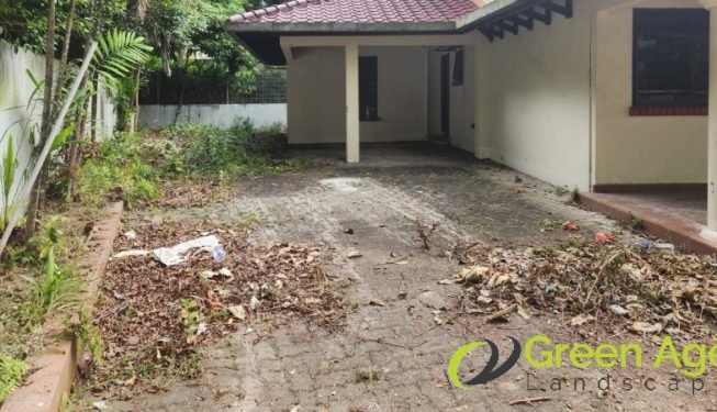 garden-maintenance-services-greenage-landscaping-services-singapore-landed-newton-15