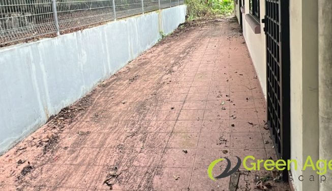 garden-maintenance-services-greenage-landscaping-services-singapore-landed-newton-17