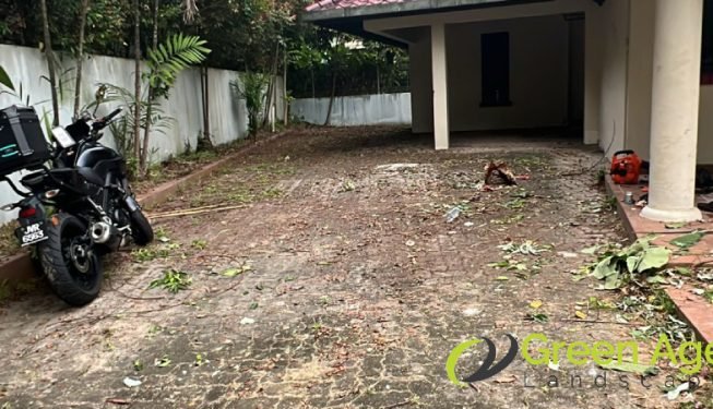 garden-maintenance-services-greenage-landscaping-services-singapore-landed-newton-18
