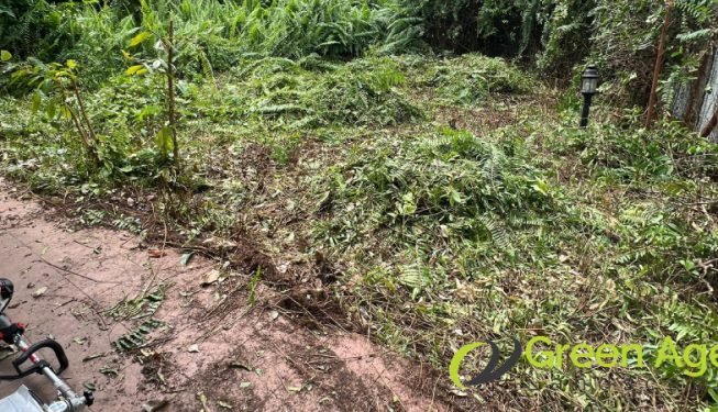 garden-maintenance-services-greenage-landscaping-services-singapore-landed-newton-9