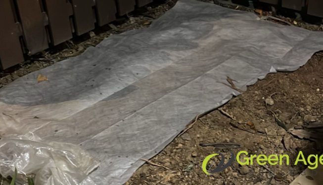 plant-removal-gardening-services-greenage-landscaping-services-singapore-landed-balestier-10