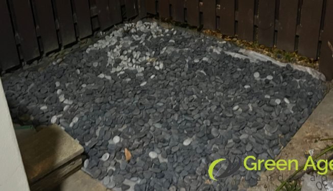 plant-removal-gardening-services-greenage-landscaping-services-singapore-landed-balestier-11