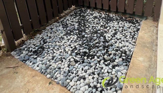 plant-removal-gardening-services-greenage-landscaping-services-singapore-landed-balestier-13