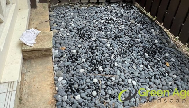 plant-removal-gardening-services-greenage-landscaping-services-singapore-landed-balestier-14