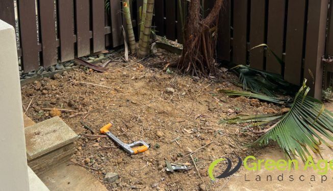plant-removal-gardening-services-greenage-landscaping-services-singapore-landed-balestier-7