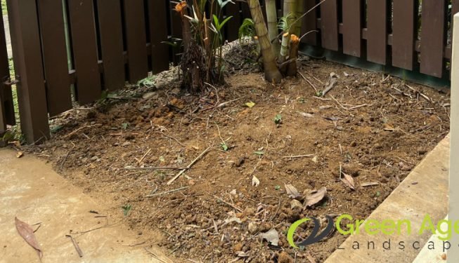 plant-removal-gardening-services-greenage-landscaping-services-singapore-landed-balestier-8