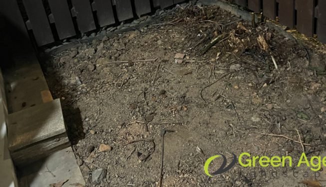 plant-removal-gardening-services-greenage-landscaping-services-singapore-landed-balestier-9