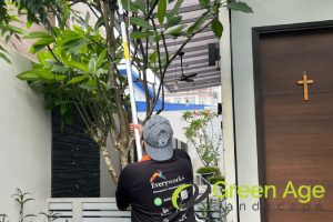 time-and-frequency-5-notable-differences-between-tree-pruning-and-tree-trimming-greenage-landscaping-services-singapore