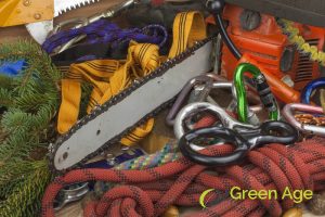 tools-and-equipment-5-diy-tree-trimming-tips-for-singapores-tropical-climate-tree-trimming-greenage-landscaping-services-singapore