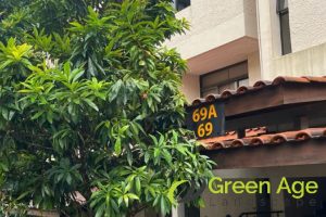 How Much Does It Cost to Trim a Tree in Singapore 2 type-of-tree-how-much-does-it-cost-to-trim-a-tree-trimming-greenage-landscaping-services-singapore