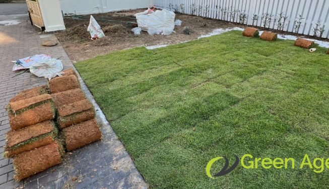 carpet-grass-installation-greenage-landscaping-services-singapore-landed-serangoon-4