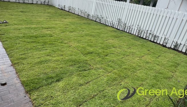 carpet-grass-installation-greenage-landscaping-services-singapore-landed-serangoon-8