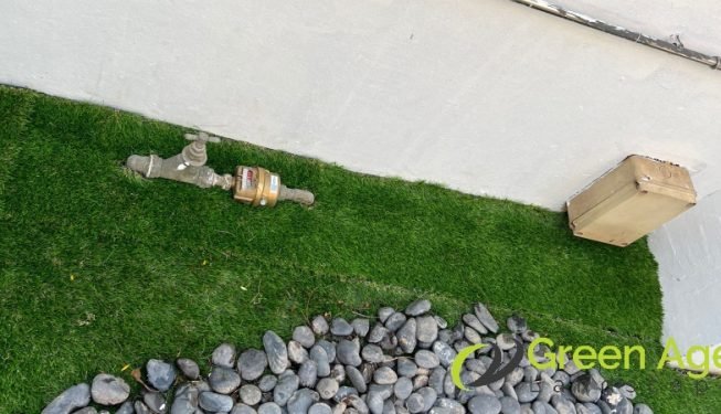carpet-grass-installation-services-greenage-landscaping-services-singapore-landed-ang-mo-kio-3