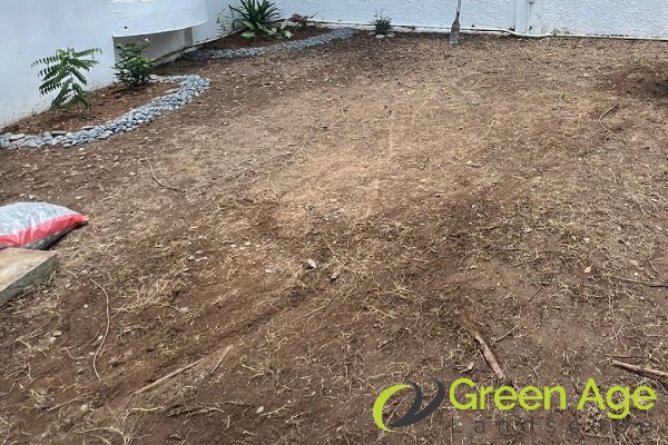 grass-cutting-services-greenage-landscaping-services-singapore-landed-ang-mo-kio-1