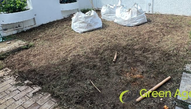 grass-cutting-services-greenage-landscaping-services-singapore-landed-ang-mo-kio-3