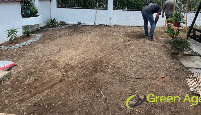 grass-cutting-services-greenage-landscaping-services-singapore-landed-ang-mo-kio-4