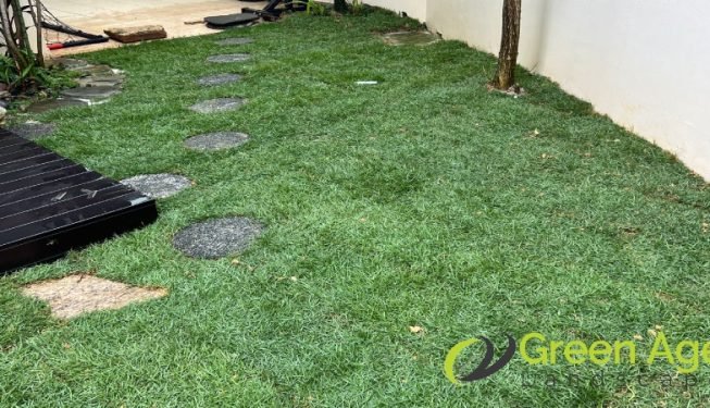 grass-turfing-services-greenage-landscaping-services-singapore-landed-bedok-10