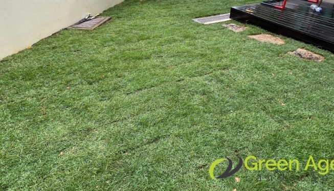 grass-turfing-services-greenage-landscaping-services-singapore-landed-bedok-11
